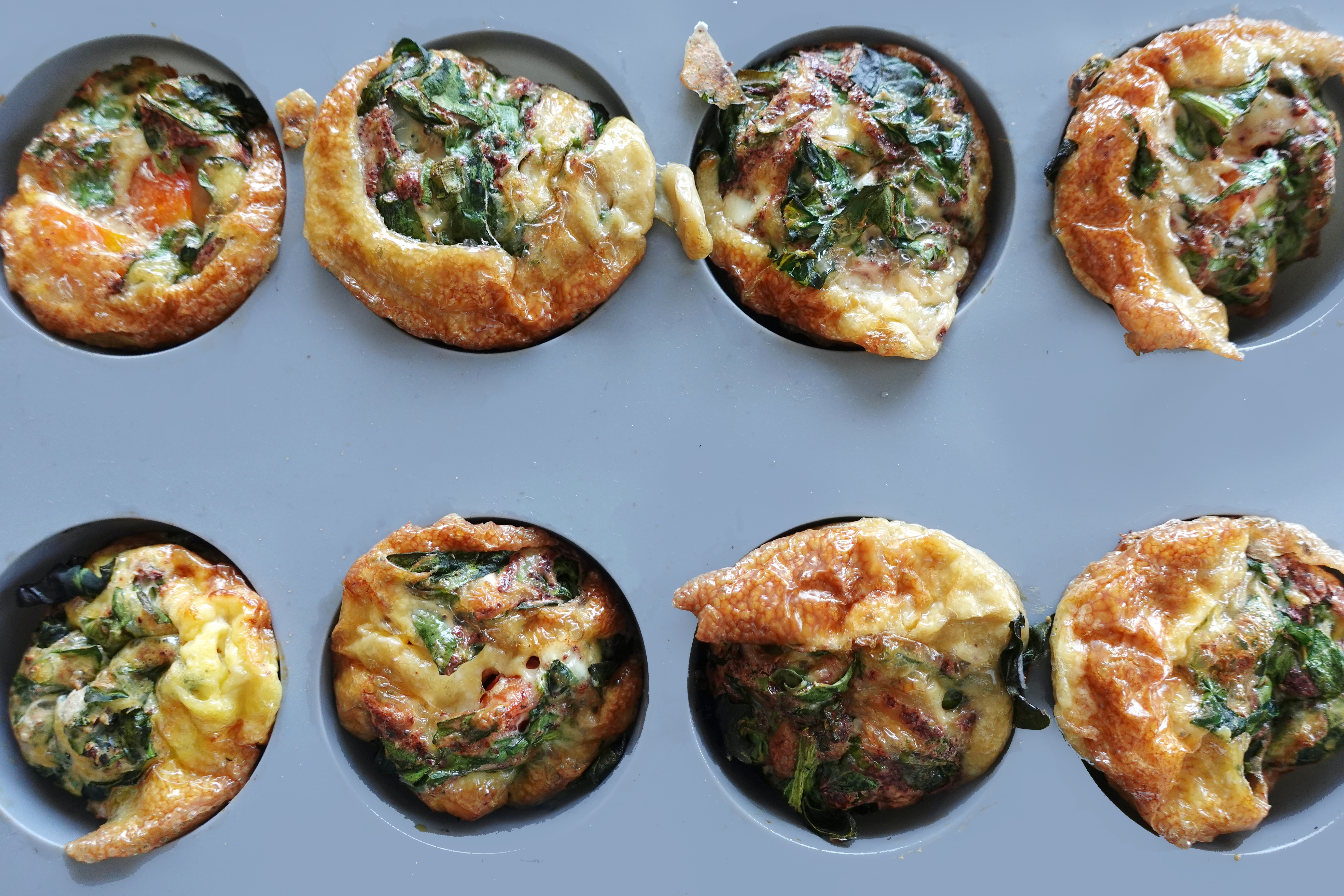 Egg Muffins